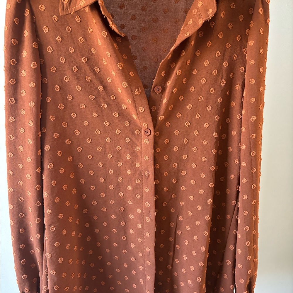 Rust Polka Dot Button-Up Blouse